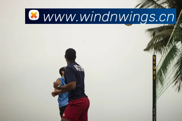 App Interface Preview