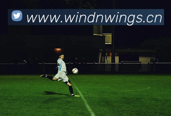 爱游ayx官网入口APP 封面图